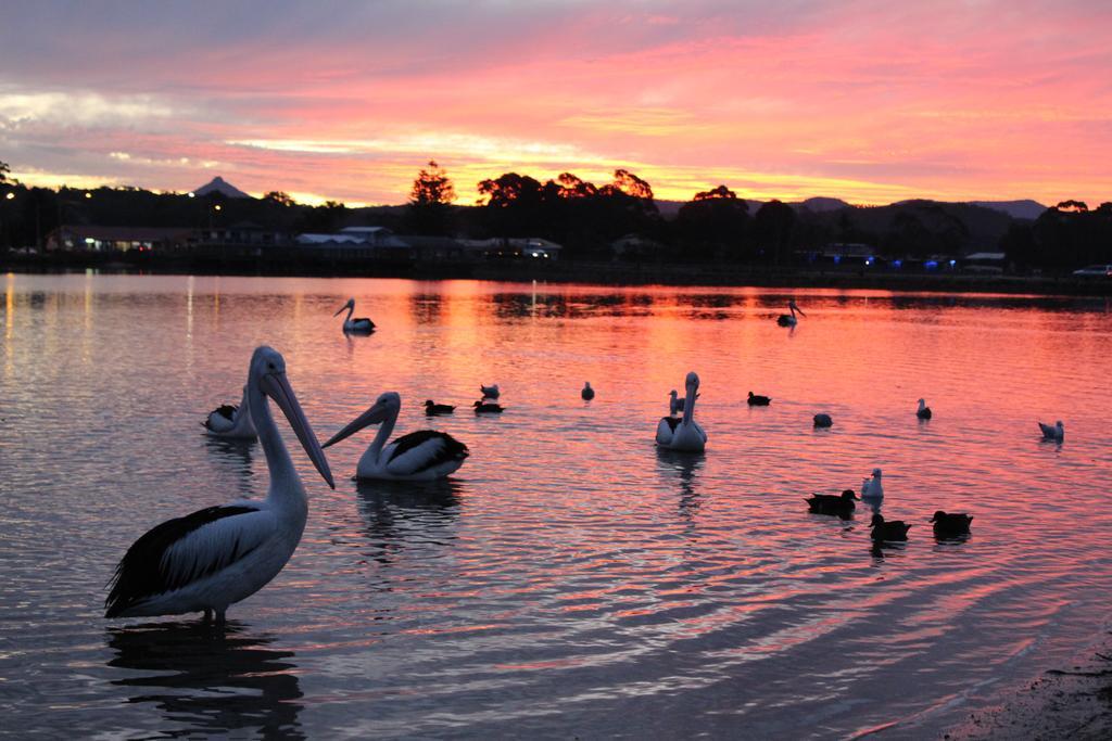 Holiday Haven Burrill Lake 외부 사진